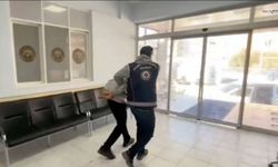 Göçmen kaçakçılığı yapan organizatör 8 göçmenle yakalandı