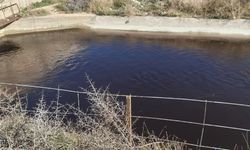 Göksu Nehri Siyah Akıyor: Zeytin Atıkları Endişe Yarattı