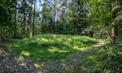 Göksun'da arazi yatırımı düşünenlere fırsat: Mahkeme 1.2 milyona satacak!