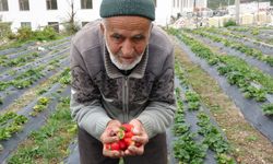 “Hayır Bahçesi”nin İbrahim Dedesi Vefat Etti