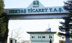 Hektaş Hissesi HEKTS Hedef Fiyat 2026 Tahminleri Ne Kadar? HEKTS Alınır mı, Kar Payı Veriyor mu?