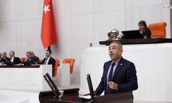 Karatutlu TBMM'de Mücbir Sebep Uzatılsın Çağrısı Yaptı