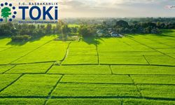 Kahramanmaraş Dahil 37 İlde TOKİ Arsaları Açık Artırmada