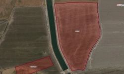 Kahramanmaraş'ta 37.5 Dönümlük Tarla  İcradan Satışta