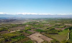 Kahramanmaraş'ta behçeli ev satılacak! Mahkeme duyanı şaşırtacak rakamı açıkladı