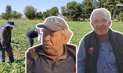 Kahramanmaraş'ta Çiftçinin İşi Zor Sahibi Yok