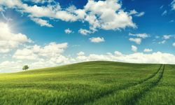 Kahramanmaraş'ta hasarlı bina ve arazisi satılacak: Devlet dairesi bu fiyatı belirledi