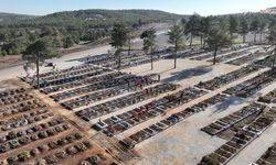 Kahramanmaraş'ta Mezarlıklara Peyzaj Dokunuşu: 1500 Çam Fidanı