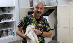 Sokakta bulunan kedinin muayenesinde tıp dünyasını şaşırtan bulgu