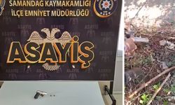 Elinde Silahla Gezen Şahıs Polis Operasyonuyla Yakalandı
