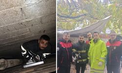 Havalandırma Boşluğuna Düşen Yavru Kedi İtfaiyeyle Kurtarıldı
