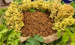 Kuru Meyvede 2025 İhracatı 1,7 Milyar Dolar