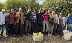 Limonun Başkenti Erdemli'de Depoluk Hasat Dönemi Başladı