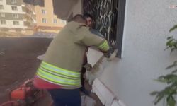 Mahsur Kalan Kedi, İtfaiye Ekipleri Tarafından Kurtarıldı