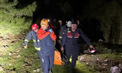 Mantar Toplamaya Gitti, Ölü Bulundu