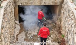 Kahramanmaraş'ta kışlak ilaçlama için stard verildi