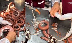 Maraş Sucuğu Uluslararası Platformda Büyük İlgi Gördü