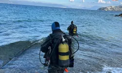 Marmara Denizi’nde ekolojik analiz: 30 dalış noktasında kirlilik ve biyoçeşitlilik inceleniyor