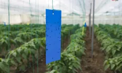 Mersin’de Çiftçiye Sera Desteği Sürüyor