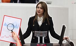 Milletvekili Zuhal Karakoç'un 2025 Yılı Karnesi