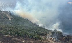 Muz Bahçesinde Yangın Paniği!