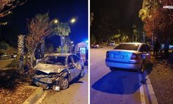 Palmiye Ağacına Çarpan Otomobilin Sürücüsü Hastanelik Oldu