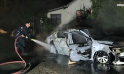 Park Halindeyken Alev Alan Araç Küle Döndü