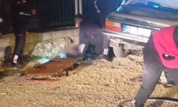 Park Halindeki Kamyona Çarpan Sürücü Öldü