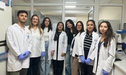 Parkinson’da bağırsak-beyin ilişkisi çip teknolojisiyle araştırılıyor