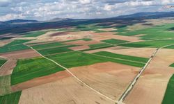 Pazarcık'ta 3 tarla için kamulaştırma süreci başlatıldı