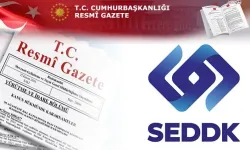 SEDDK yeni kuralları erteledi: Sigorta sektörüne 1 yıl daha süre
