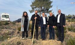 Yanan ormana şehit ve gazilerin isimleriyle fidan dikildi