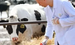 Tarımsal Girdilerde Yüzde 33 Artış