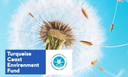 Hibe Programı Başvuruları Başladı: Güney ve Batı Kıyıları İçin Destek