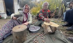 Toroslar’da Şifa Kaynıyor: Andız Pekmezi