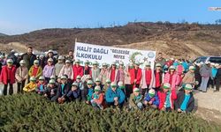Minik eller 2 bin 500 fidanla doğaya hayat verdi