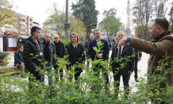 Yeni Cuma Parkı yazın botanik bahçesine dönüşecek