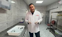 Yılda 20 Bin Tıbbi Sülük Üretiliyor