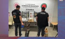 Gümrükten Dev Operasyon: 1 Milyarlık Yakalama!