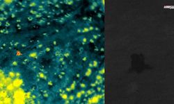 AFAD ekipleri termal kameralarla kayıp vatandaşı sağ olarak kurtardı