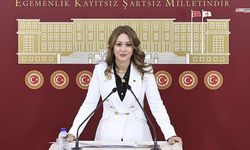 Milletvekili Karakoç, Kahramanmaraş İçin Bütçe Talebini Meclis'te Dile Getirdi