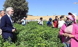 Kahramanmaraş Büyükşehir'den üreticilere 100 milyon TL'lik destek