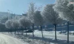 Yoğun buzlanma ve kırağı, doğada nadir görülen manzaralar yarattı