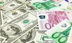2025 yılı döviz değerleme kurları belirlendi