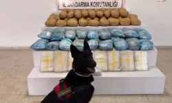 63 ilde 1 tonu aşkın yasaklı madde ele geçirildi