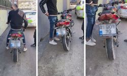 Abartılı egzoz motosiklet sürücüsüne pahalıya patladı