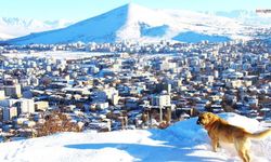 Afşin’de Kar Yağışı Sonrası Kartpostallık Görüntüler