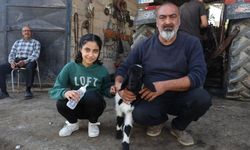 Annesiz kalan kuzuya amca ile yeğen sahip çıktı