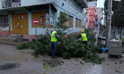 Kuvvetli Lodos 42 Kez Müdahale Getirdi