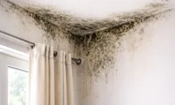 Nem ve küf sağlığı tehdit ediyor